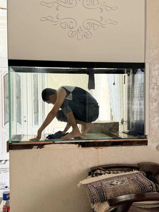 Профессиональная чистка аквариума Aqua life