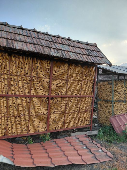 Vand porumb  în Sărmaș