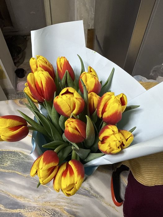 Продам свежий букет тюльпанов