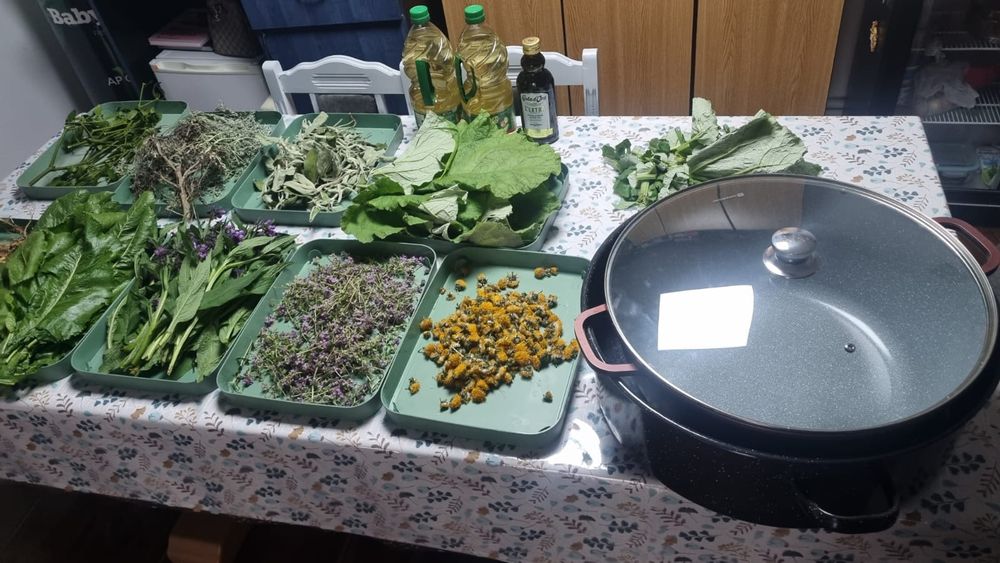 Unguent - Crema - Brusture Tătăneasă Rostopasca Salvie Papadie Pelin