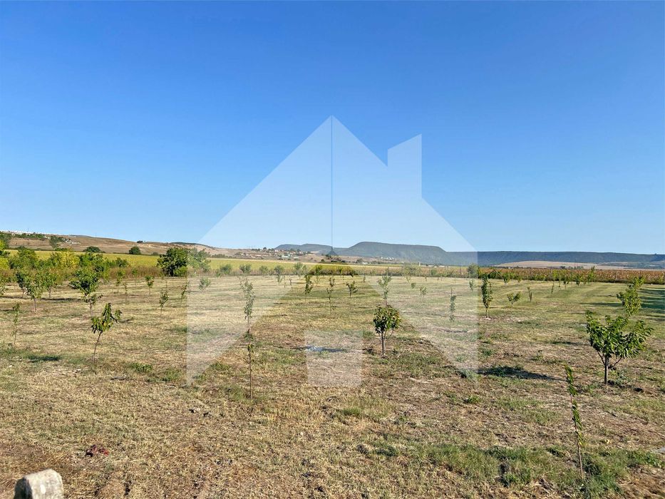 Продава се Земеделски имот в Нови пазар -  кв.м за 3643 €/дка - Снимка #1