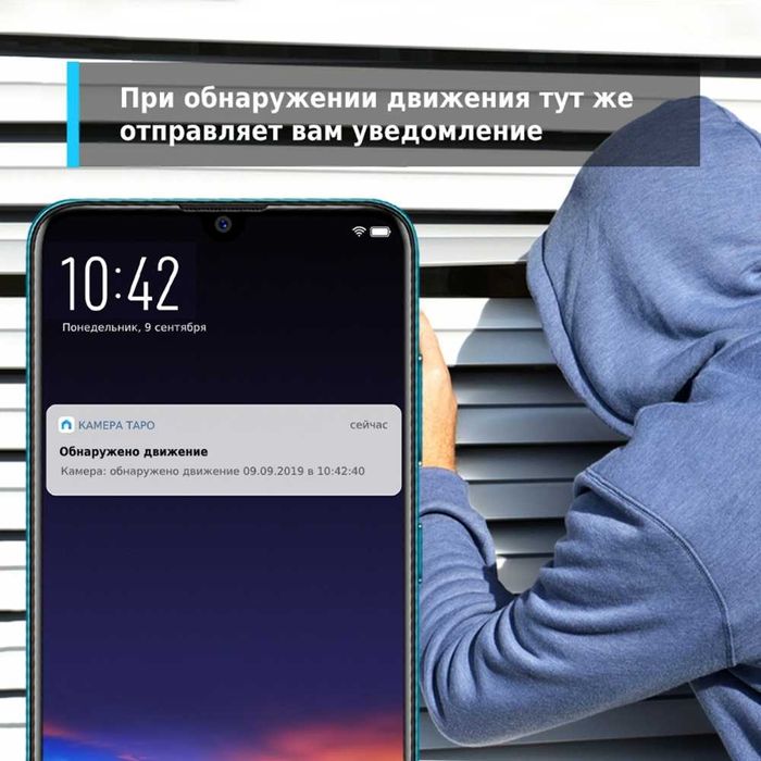 камера наблюдения от TP-LINK
