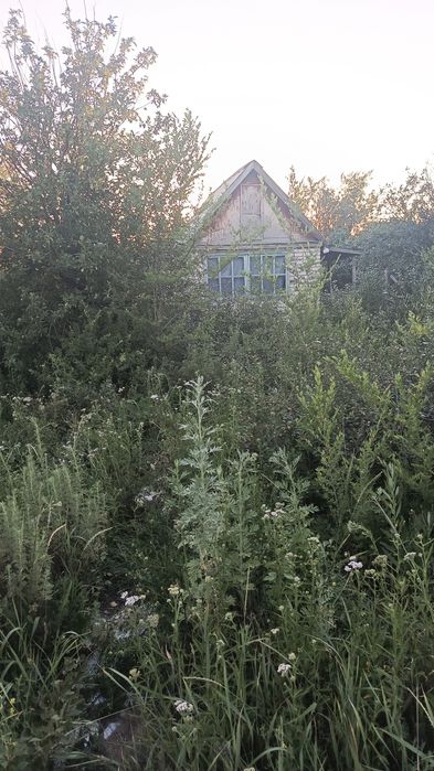 Продам дачный участок с домиком