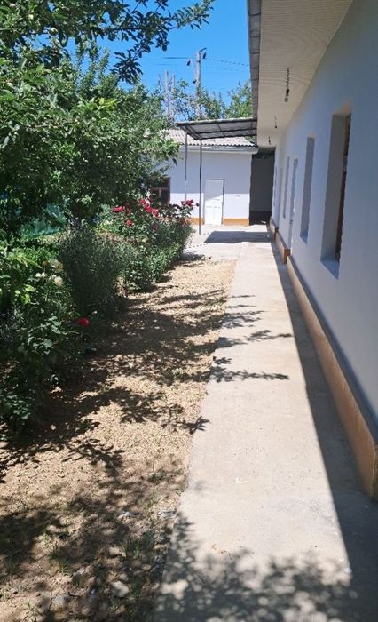 4 ком 4 сотих Зангата туман