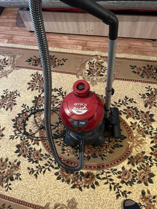 Плесос турецкий арника