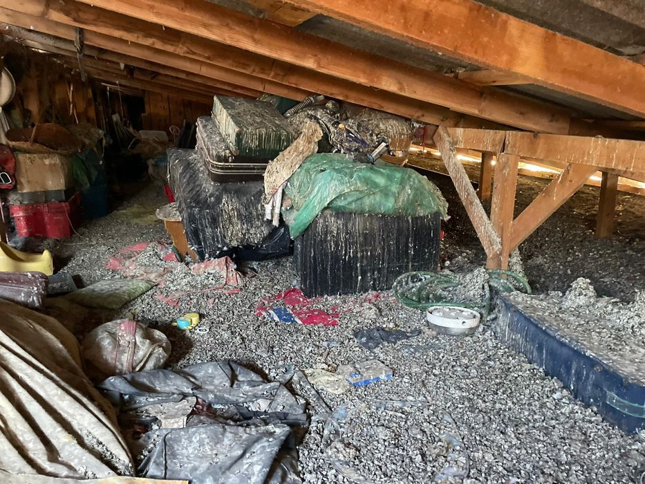 Debarasări diverse cu manipulanți ,mutări, relocări, Transport marfă