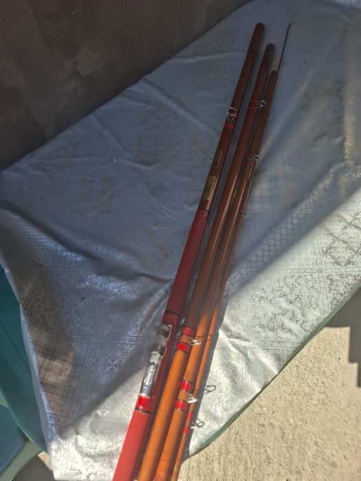 Bologneza 4 segmenti!