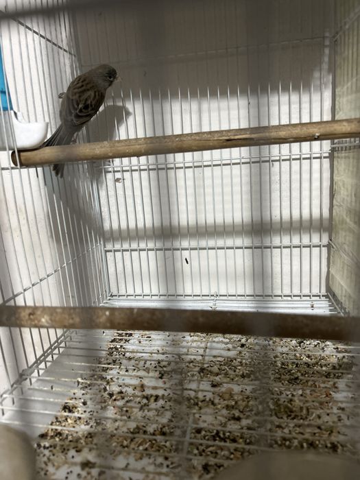 Есть доставка по городу шымкент