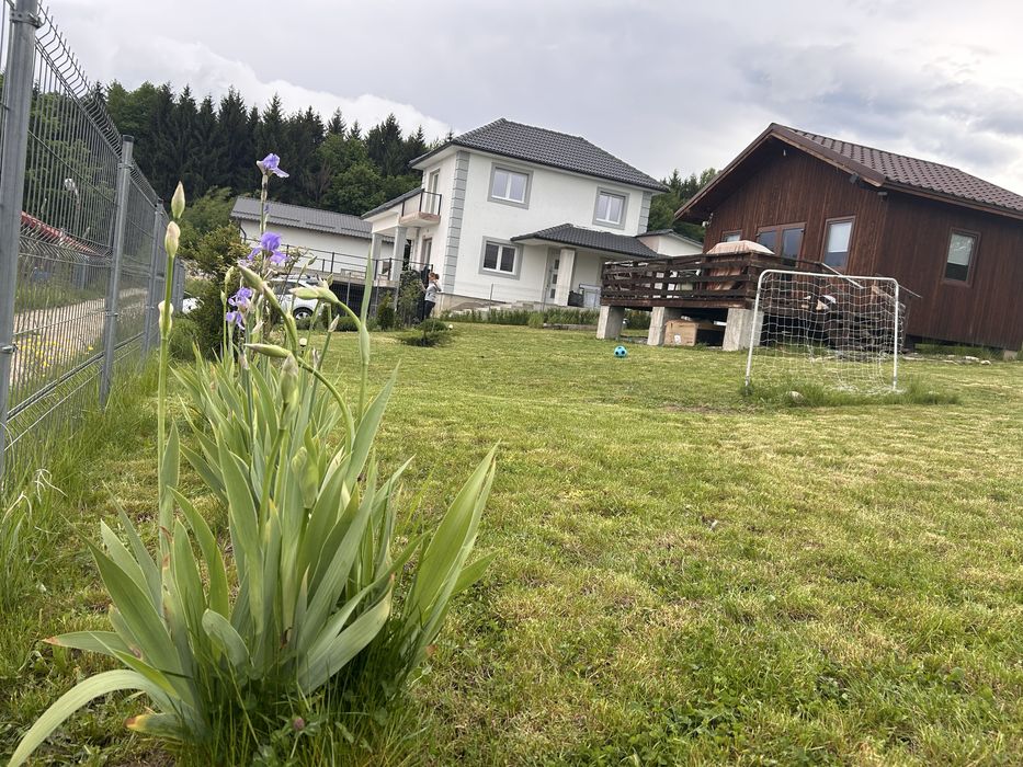 Teren Tocile , intravilan, com. Sadu