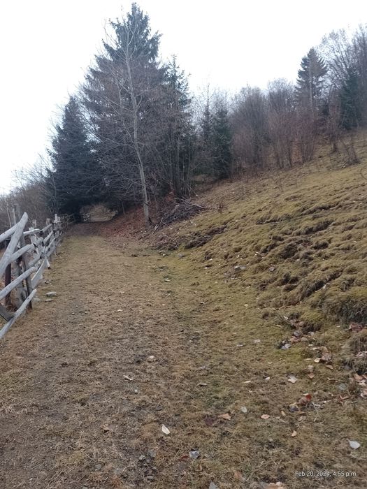 Teren Cabana 2x1000 mp, cu Super View ,zona retrasă.