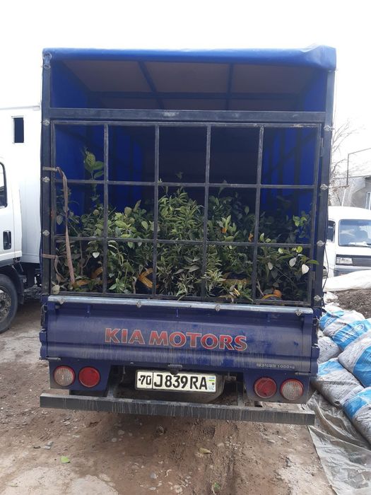 Kia bongo sotiladi. Yili 2012. Narxi 14500$.