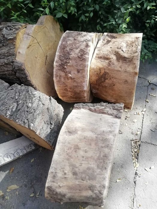 пень карагач,садовый столик