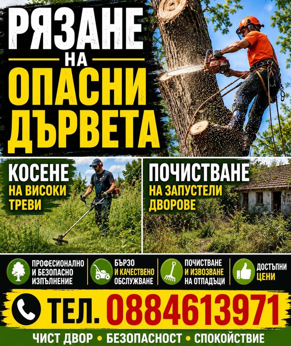 Рязане на Опасни дървета
