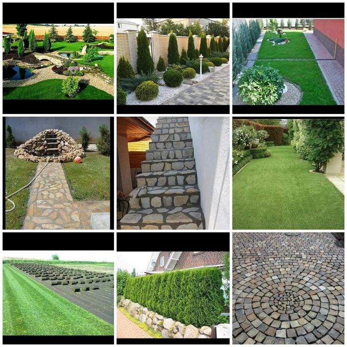 Plante ornamentale tuia. Piatra de placat. Piatra cubica. Gazon rulour