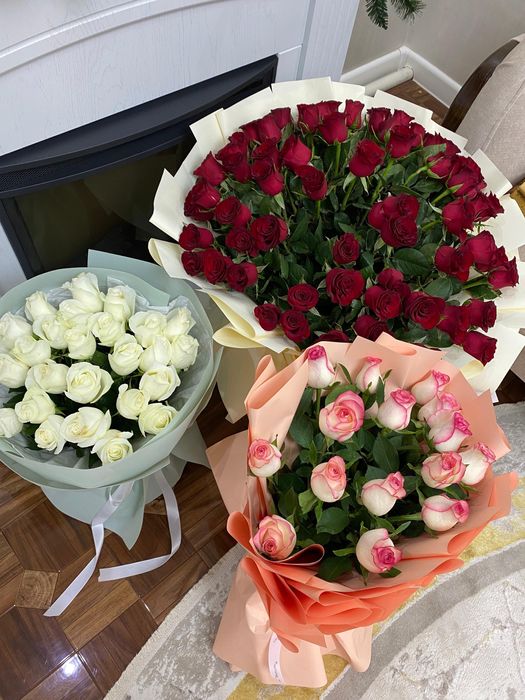 Гулдер бугігі гулл