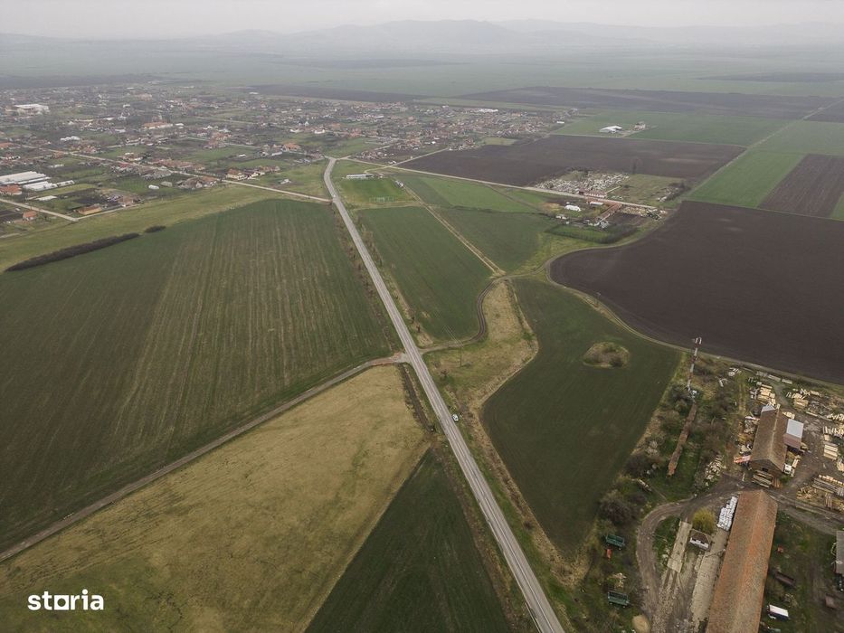 Teren 76.000mp între Sântana și Caporal Alexa