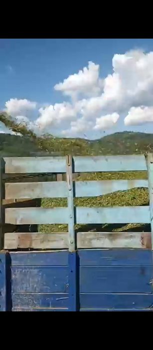 Продам сено в тюках и Сенаж