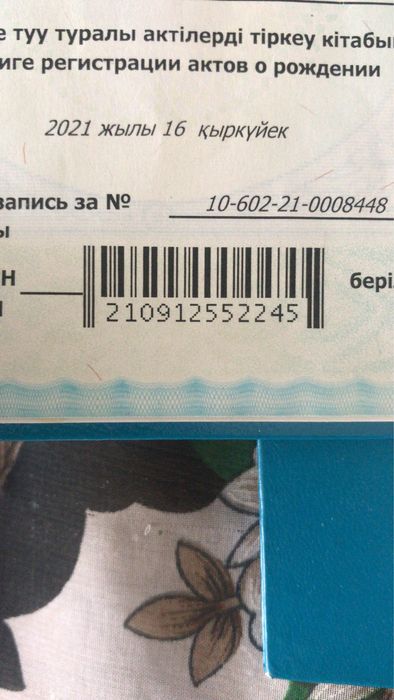 Коляска Aimile 2в 1 сатылады