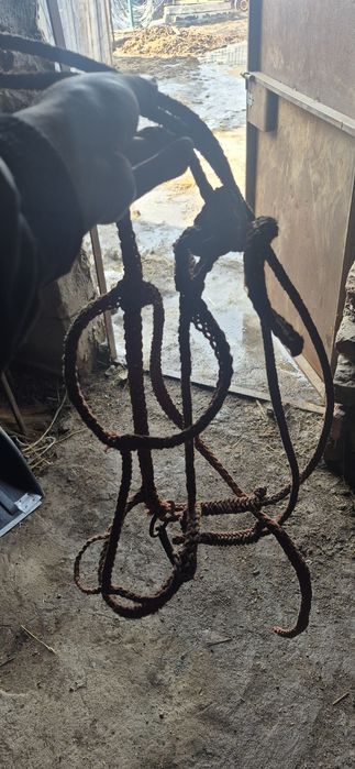 седла и уздечки.