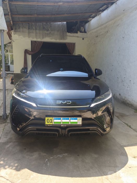 Byd yuan up electr