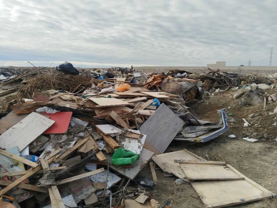 дрова (сухостой)