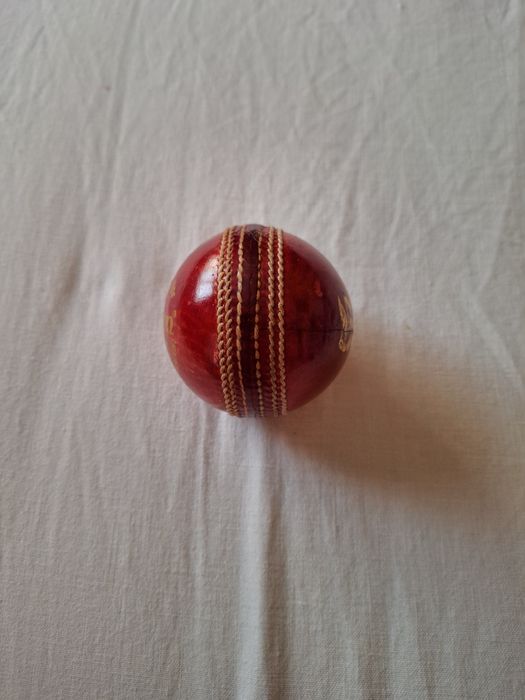 Minge Cricket Ranson