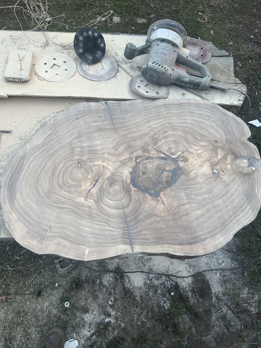 Слэб поперечный спил,карагач