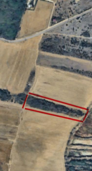 Teren INTRAVILAN 4.800 mp Buda-Cornetu - Baraj Mihăilești | 85.000€ FIX