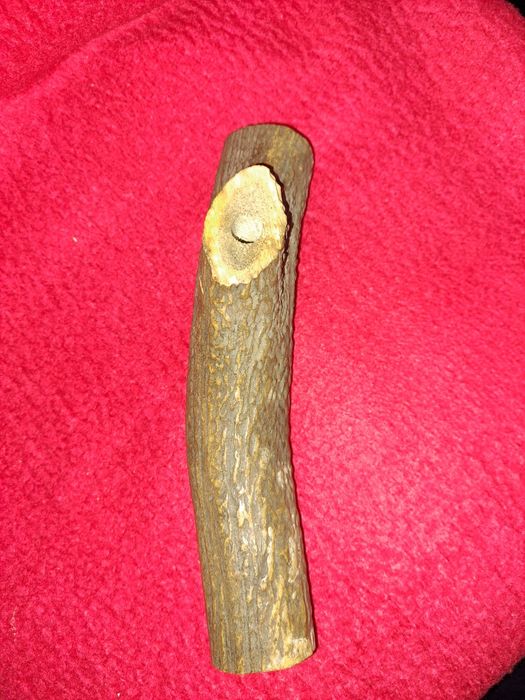 Corn de cerb de colectie