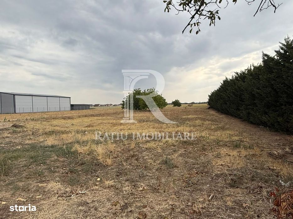 Teren Intravilan | 2500 mp | Calea Santandrei | Oradea
