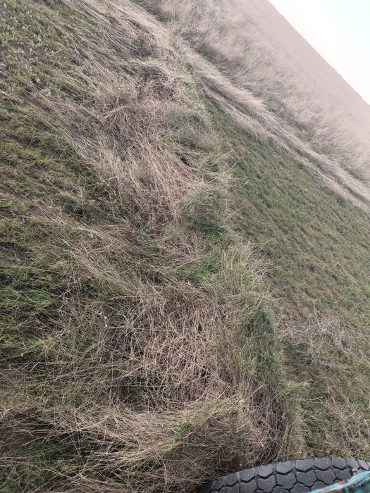 Продам сено житняк