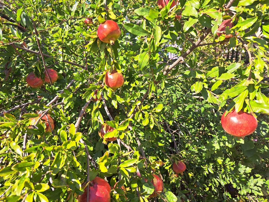 Продавам разработен бизнес за производство и търговия  на главен път