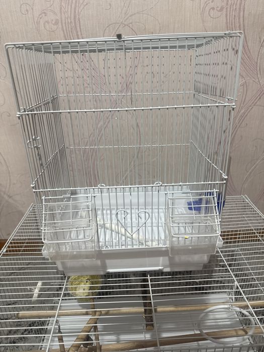 Клетка для попугая