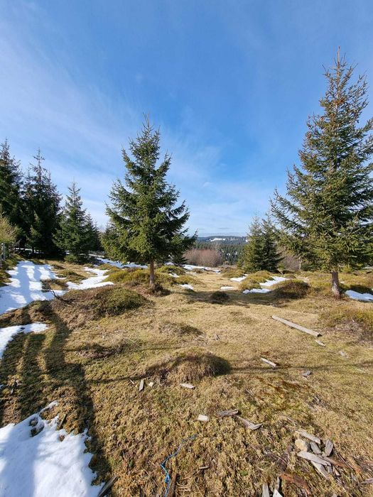 Vand Teren in sat Maguri, com. Maguri Racatau