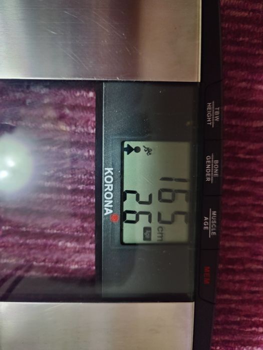 Cantar body fat, marca Korona