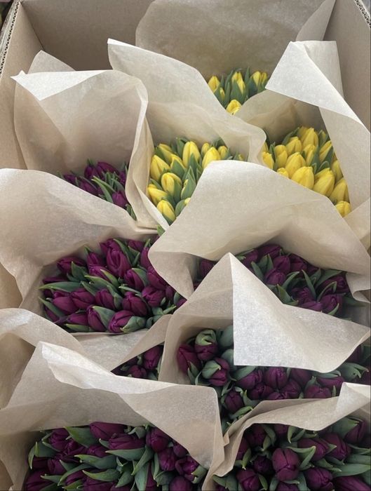 Тюльпаны ОПТОМ И В розницу предзаказ доставка цветы