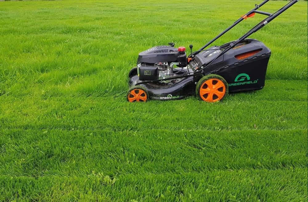 Amenajare și întreținere suprafețe gazon și spații verzi