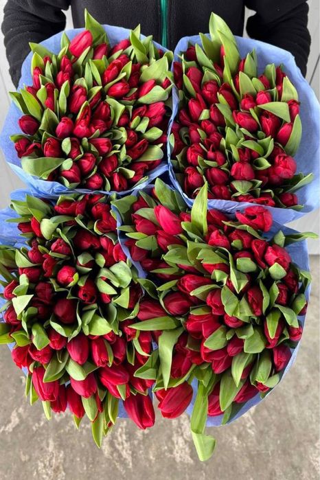 Цветы , букетв роз,пионы тюльпаны