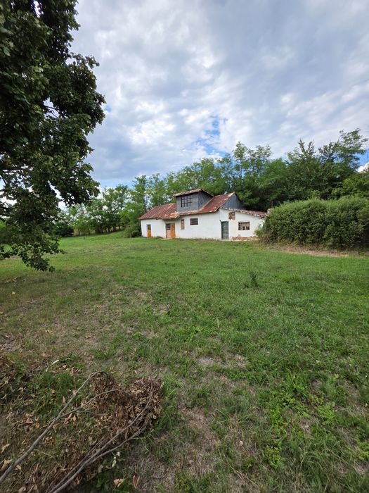 Moara de Vanzare 2005 MP