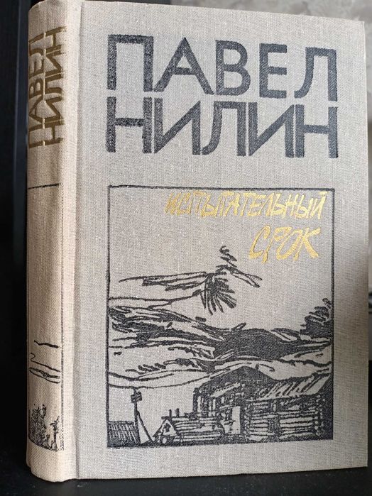 Книга: Павел Нилин. Испытательный срок.