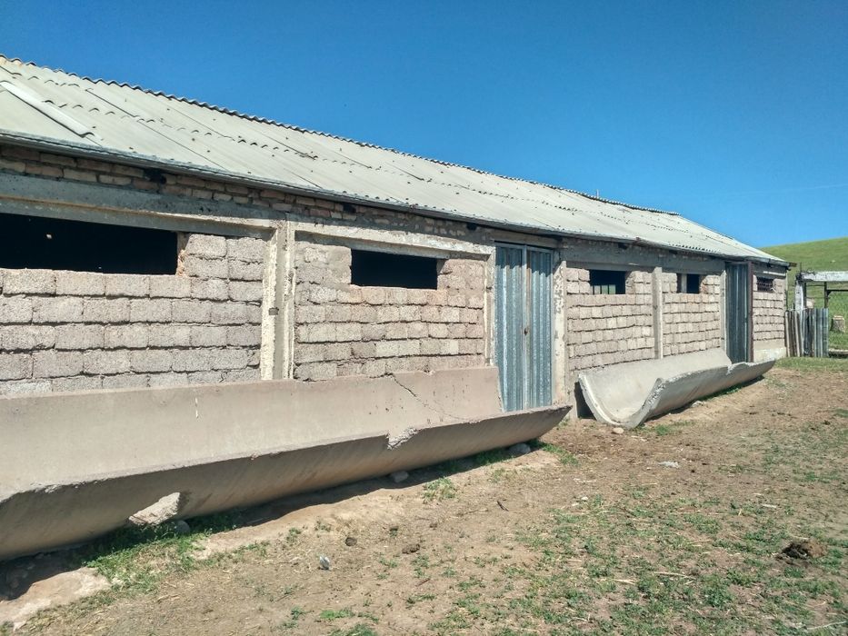 Продается ферма своя