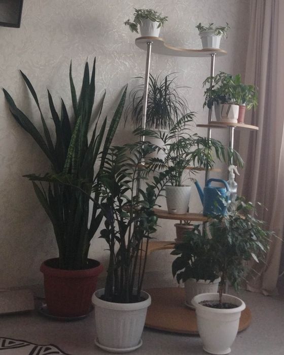 Продам подставку для цветов