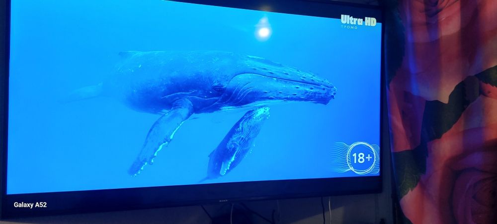 Сони телевизор бравия