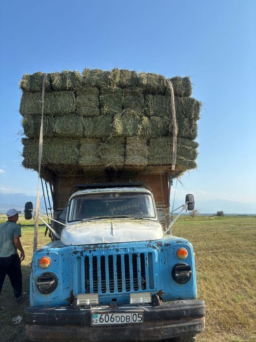 Жонышка сатылады