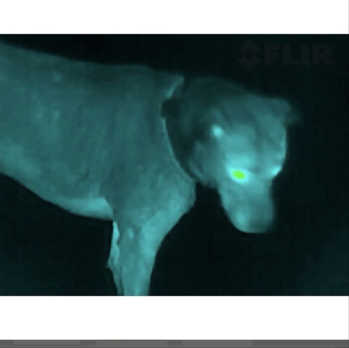 Camera de termoviziune / Camera termala portabila FLIR Scout TK Compac