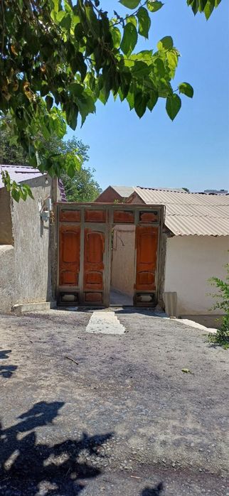 4 сотихли Джиззах ховли город