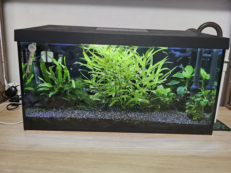 Acvariu Aquael 60L