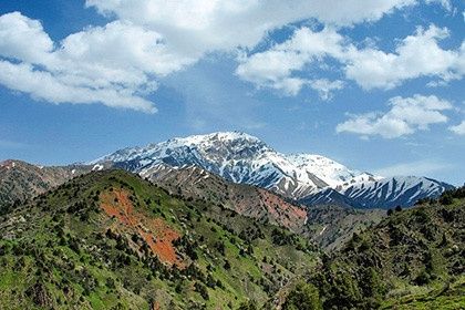 Экскурсия в горы вблизи Ташкента