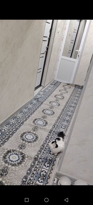 Belayin kamponiyan orqasindaki domda 2 honali uch hona bo'lgan 64 kv