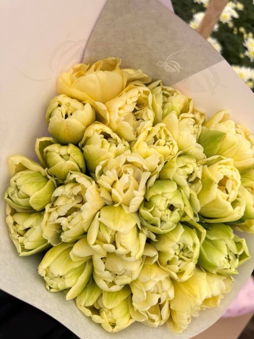 Тюльпаны оптом в розницу/ корпоративные заказы